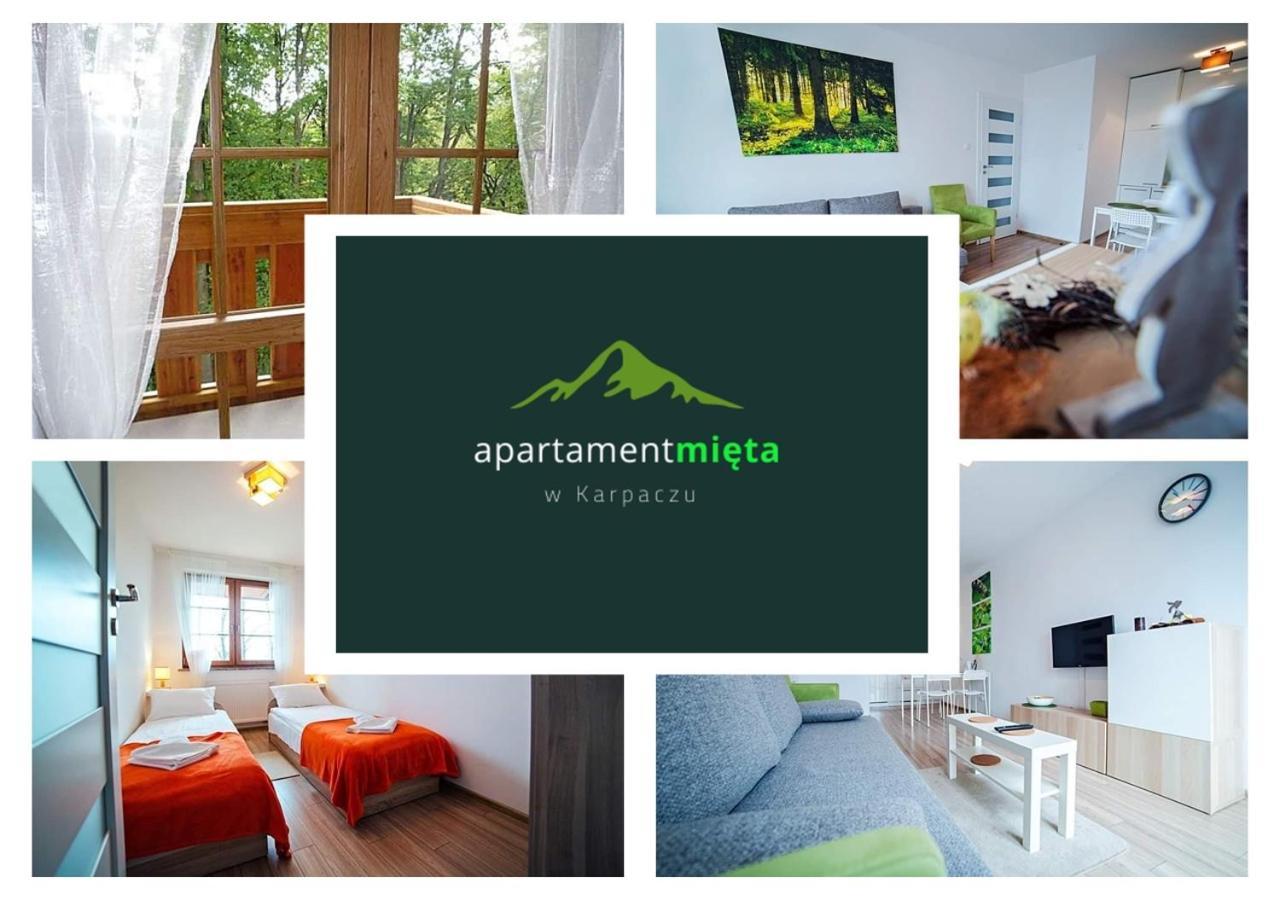 Apartament Mieta كارباش المظهر الخارجي الصورة